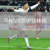 辛根VS羅伊特林根