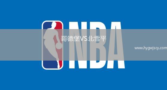 哥德堡VS北雪平