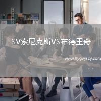 SV索尼克斯VS布德里奇