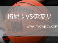 格尼卡VS伊波羅