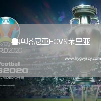 魯席塔尼亞FCVS萊里亞