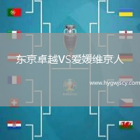 東京卓越VS愛(ài)媛維京人