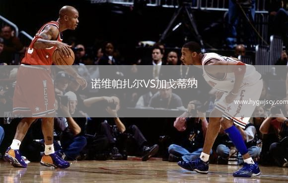 諾維帕扎爾VS加戈蒂納