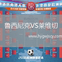 魯西尼克VS萊維切