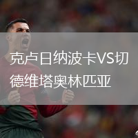 克盧日納波卡VS切德維塔奧林匹亞