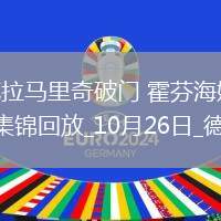 德甲-克拉馬里奇破門霍芬海姆3-1海登海姆