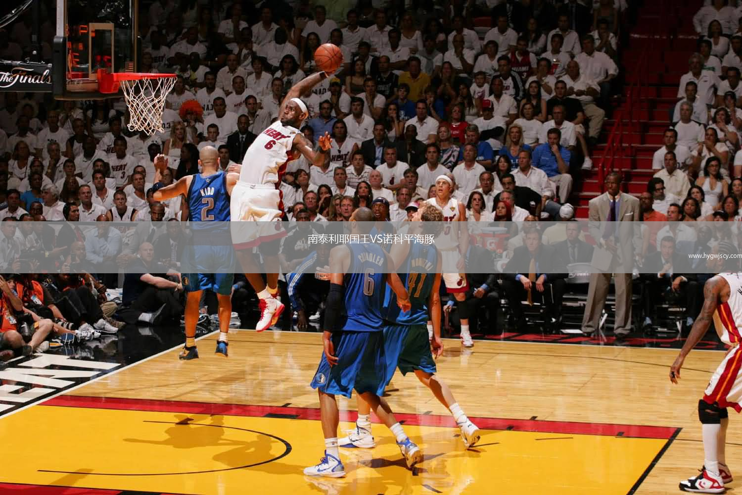 南泰利耶國王VS諾科平海豚